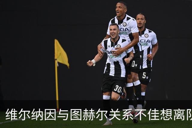 维尔纳因与图赫尔关系不佳想离队 蓝军也想送走他